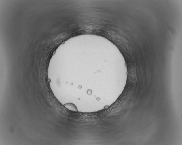 X0000110691105200907101142