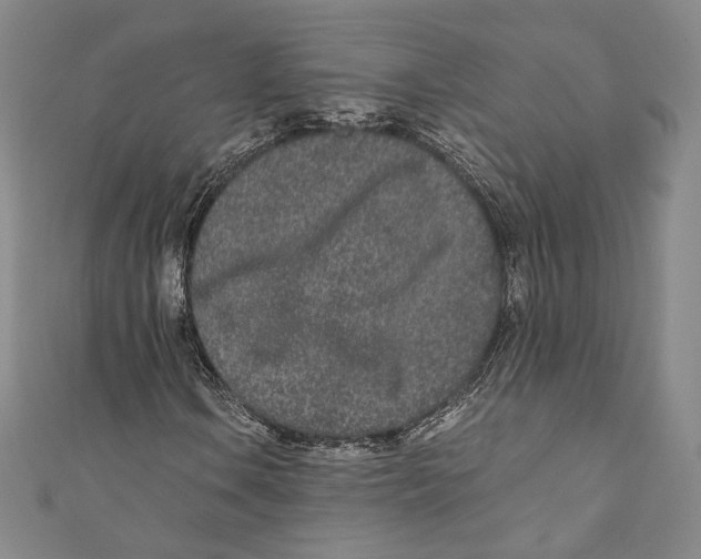 X0000110691106200907101142