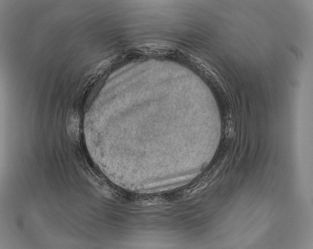 X0000110691108200907101142