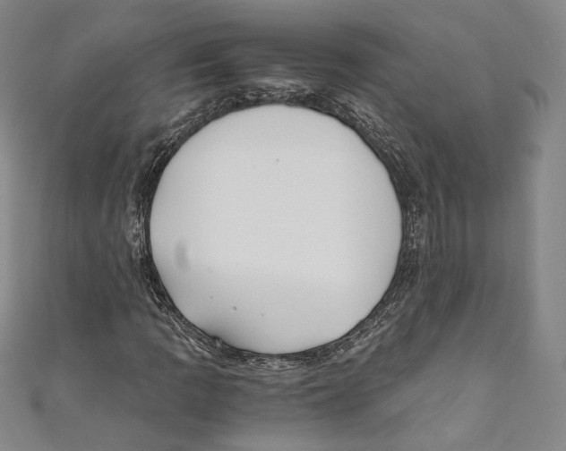 X0000110691109200907101142