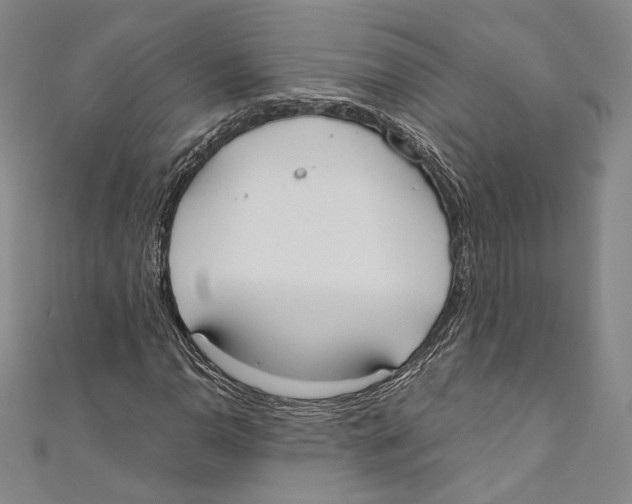 X0000110691110200907101142