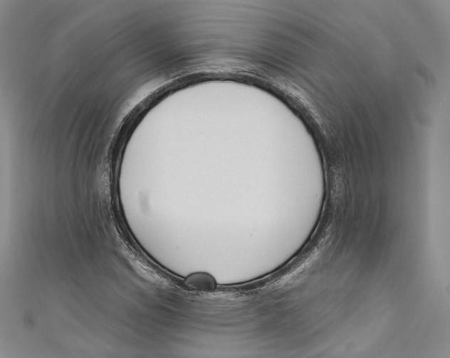 X0000110691114200907101142