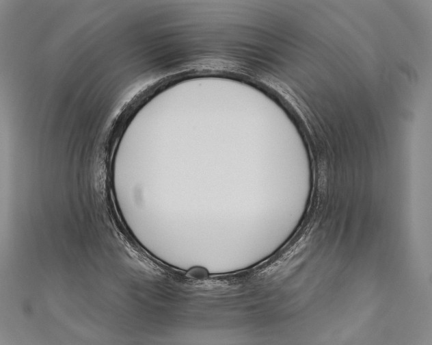 X0000110691115200907101142