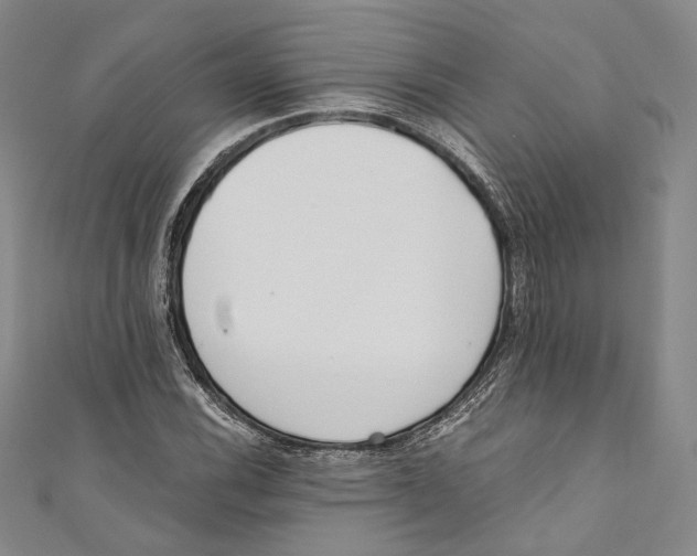 X0000110691116200907101142