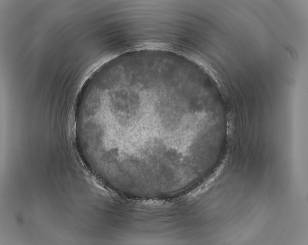 X0000110691117200907101142