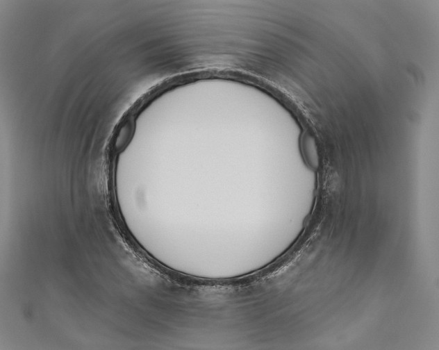 X0000110691118200907101143