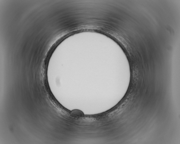 X0000110691119200907101143