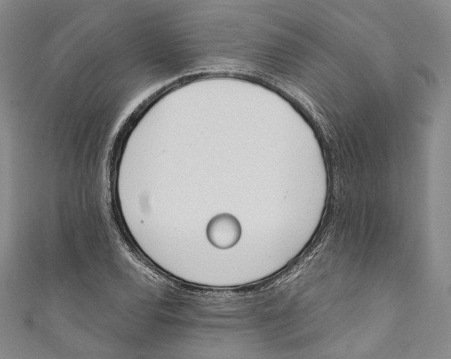 X0000110691120200907101143