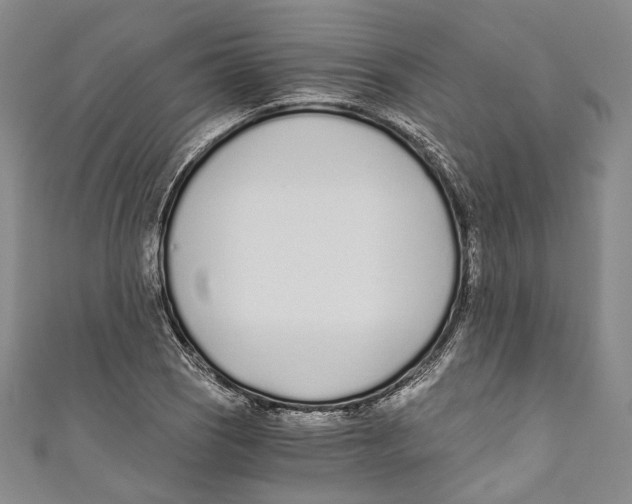 X0000110691121200907101143