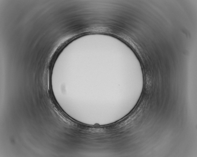 X0000110691123200907101143