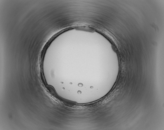 X0000110691124200907101143