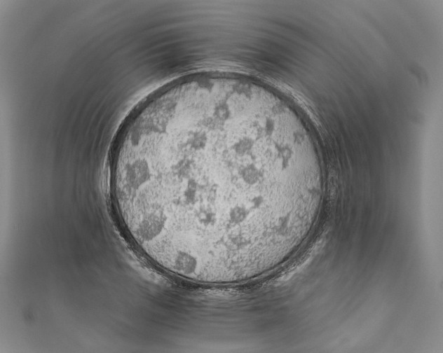 X0000110691125200907101143