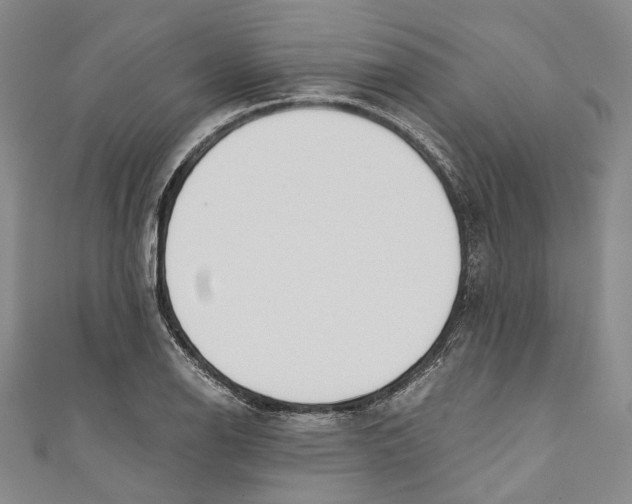 X0000110691126200907101143