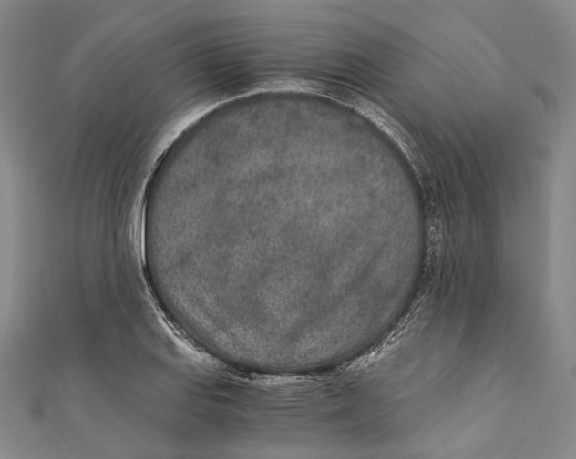 X0000110691127200907101143