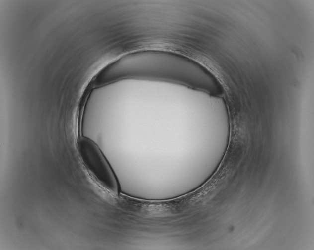 X0000110691128200907101143