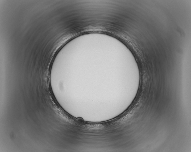 X0000110691129200907101143