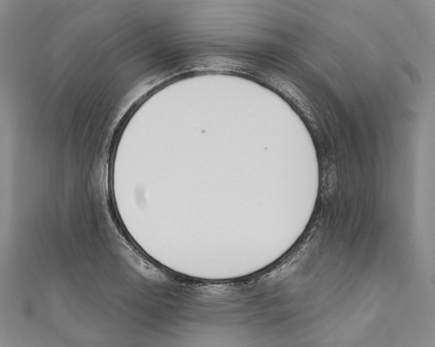 X0000110691130200907101143