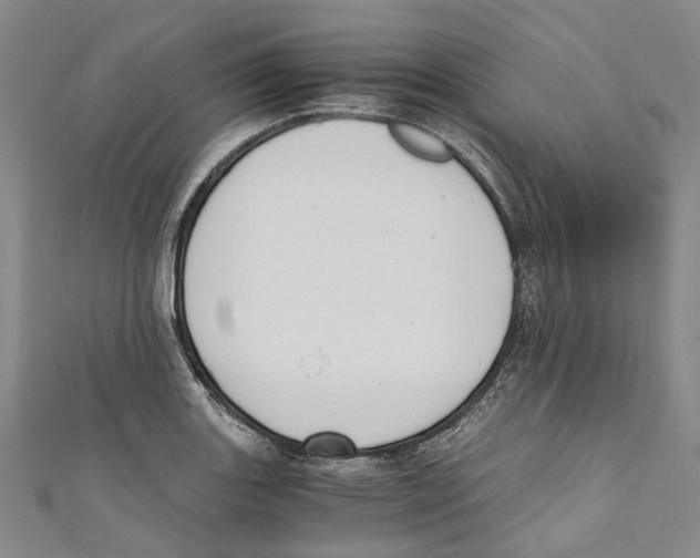 X0000110691131200907101143