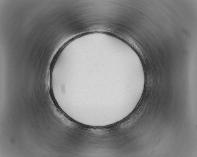 X0000110691132200907101143