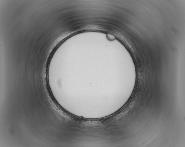 X0000110691133200907101143