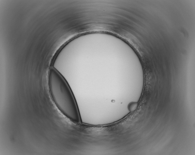 X0000110691134200907101143