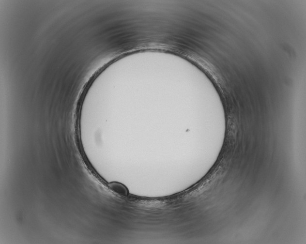 X0000110691135200907101143