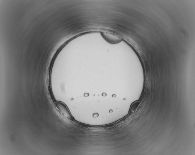 X0000110691136200907101143