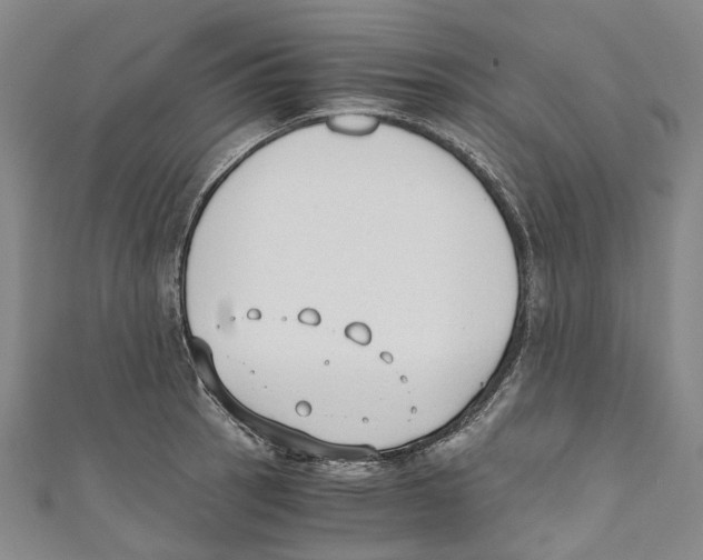 X0000110691137200907101143