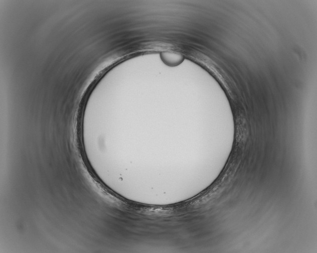 X0000110691139200907101143