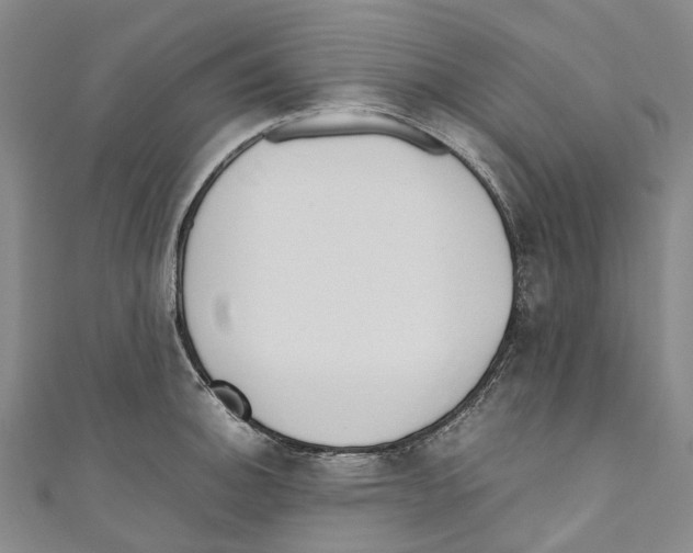 X0000110691140200907101143