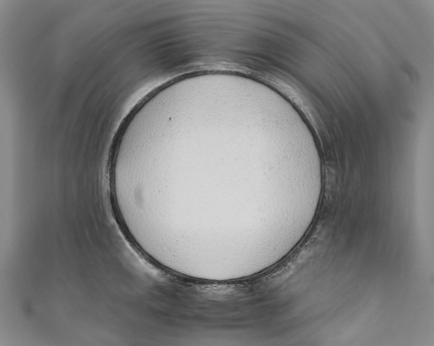 X0000110691141200907101143