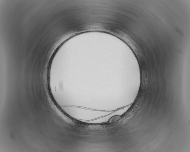 X0000110691142200907101143