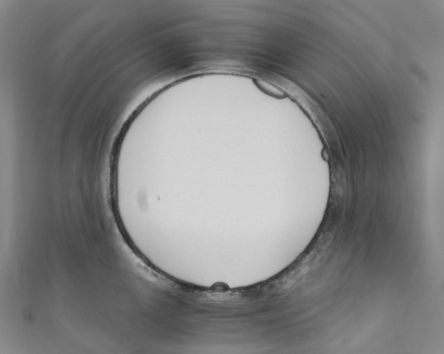 X0000110691147200907101143