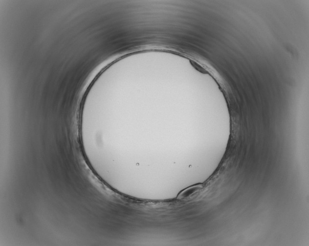 X0000110691148200907101143