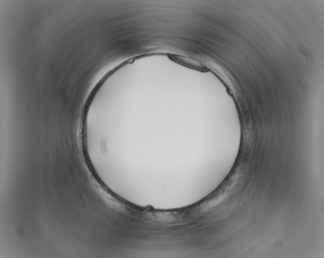 X0000110691149200907101143