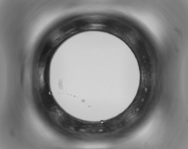 X0000110691150200907101143