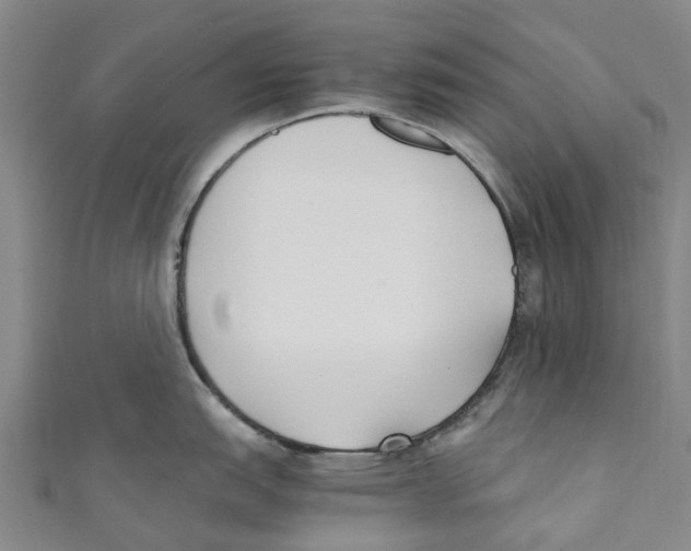 X0000110691151200907101143