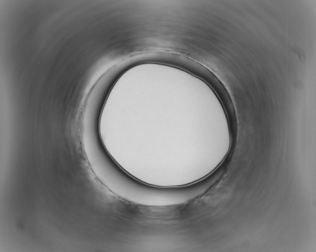 X0000110691152200907101143