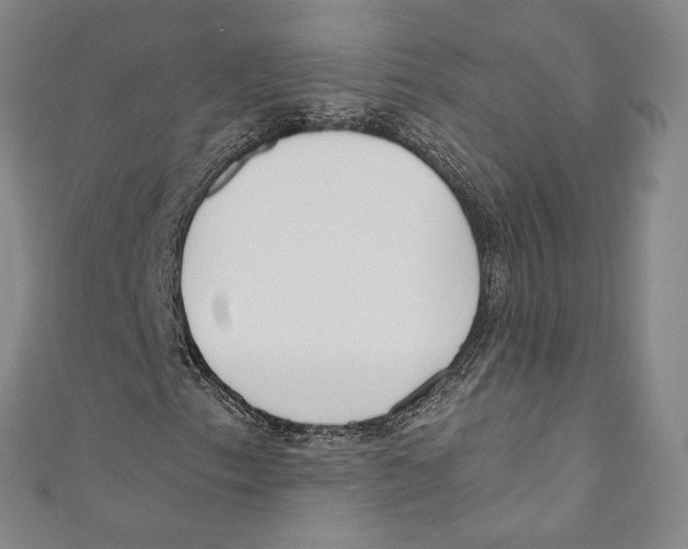 X0000110691153200907101142