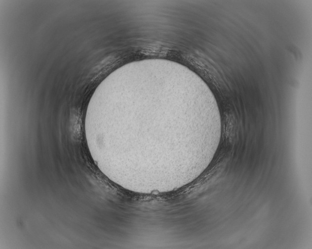 X0000110691154200907101142