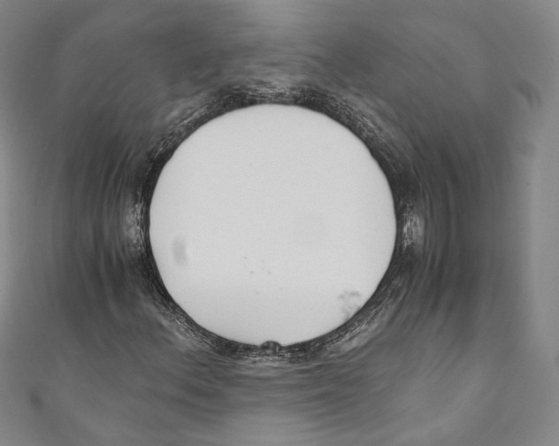 X0000110691156200907101142