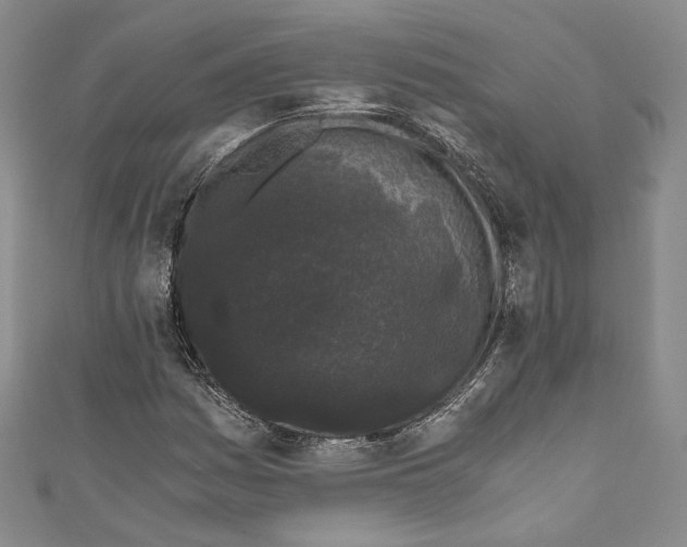 X0000110691161200907101142