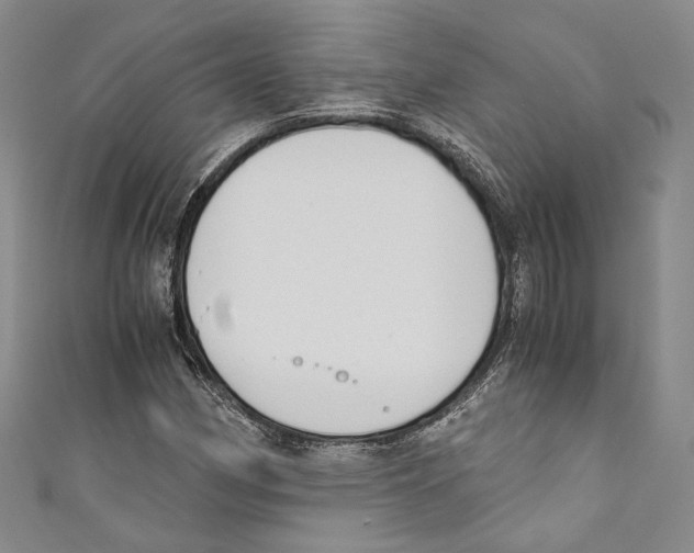 X0000110691162200907101142