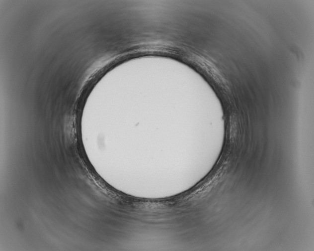 X0000110691164200907101142