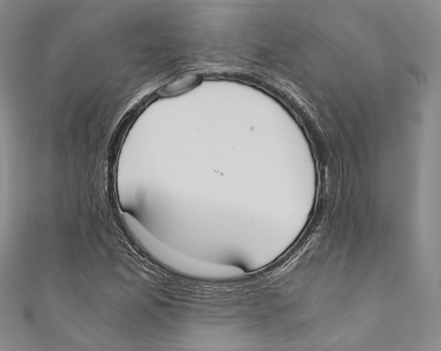 X0000110691165200907101142