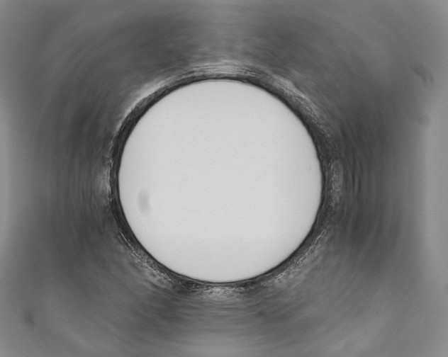 X0000110691166200907101142