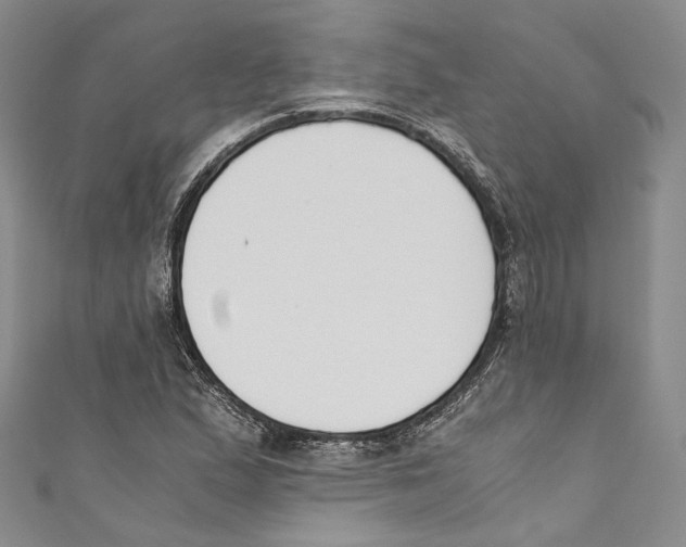 X0000110691167200907101142