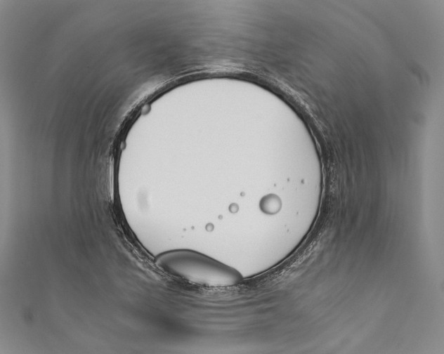 X0000110691171200907101142