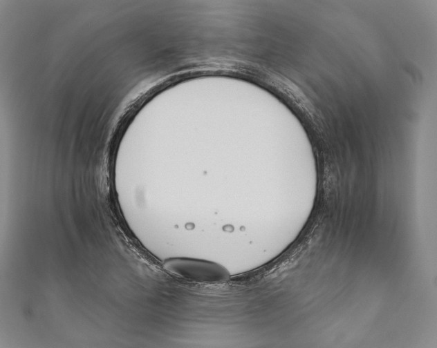 X0000110691172200907101142