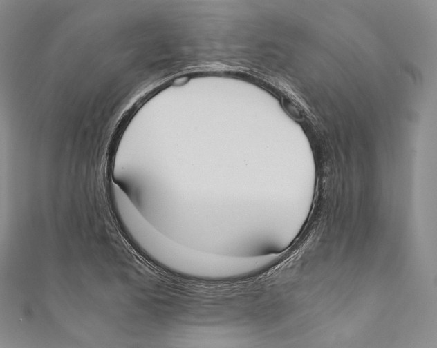 X0000110691173200907101142